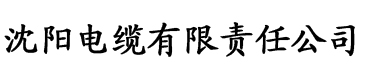 柳无邪免费全文电缆厂logo